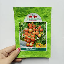 Warta Terbaru